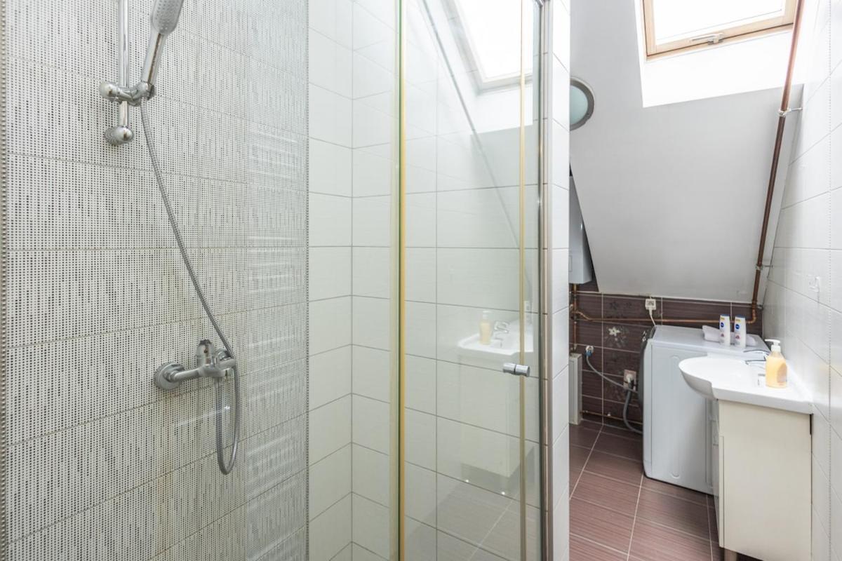 Apartment Spacious In Downtown Sarajevo